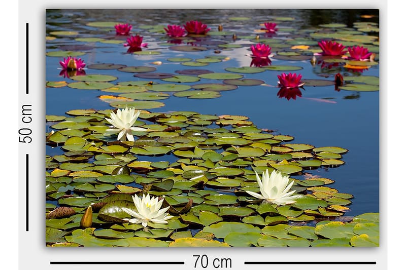 Dekorativ Canvastavla 50x70 cm - Flerfärgad - Inredning - Tavlor & konst - Canvastavlor