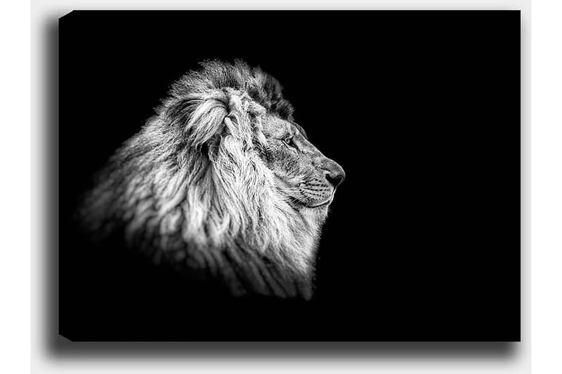 Dekorativ Canvastavla 50x70 cm - Flerfärgad - Inredning - Tavlor & konst - Canvastavlor