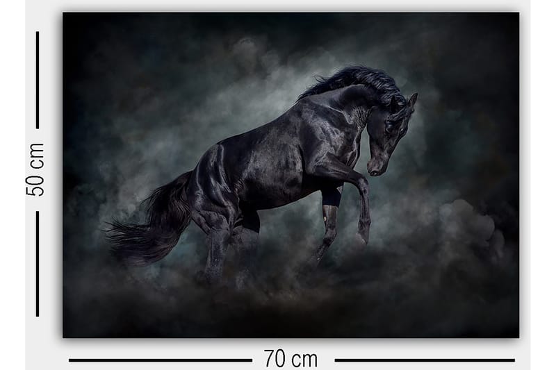 Dekorativ Canvastavla 50x70 cm - Flerfärgad - Inredning - Tavlor & konst - Canvastavlor