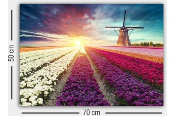 Dekorativ Canvastavla 50x70 cm - Flerfärgad - Inredning - Tavlor & konst - Canvastavlor