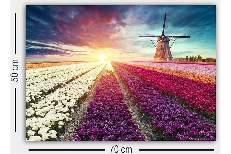 Dekorativ Canvastavla 50x70 cm - Flerfärgad - Inredning - Tavlor & konst - Canvastavlor