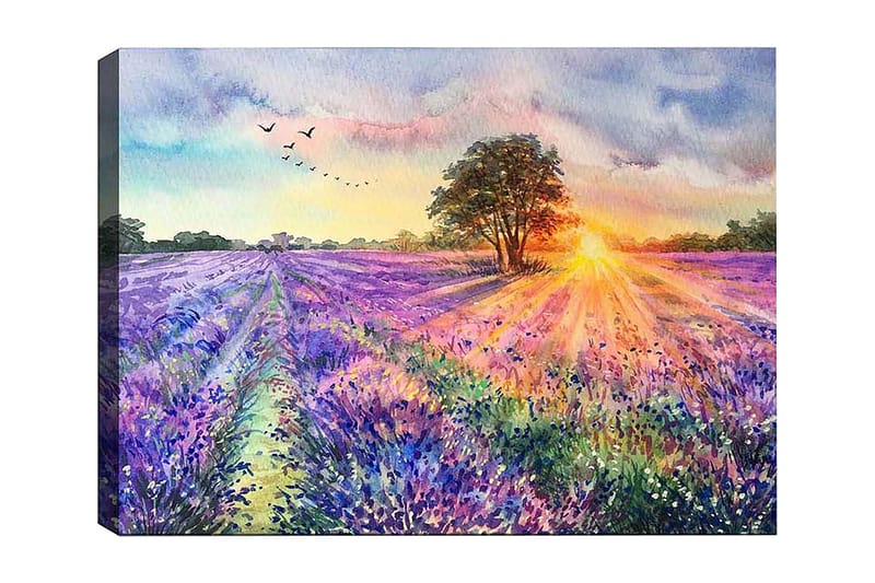 Dekorativ Canvastavla 50x70 cm, Flerfärgad