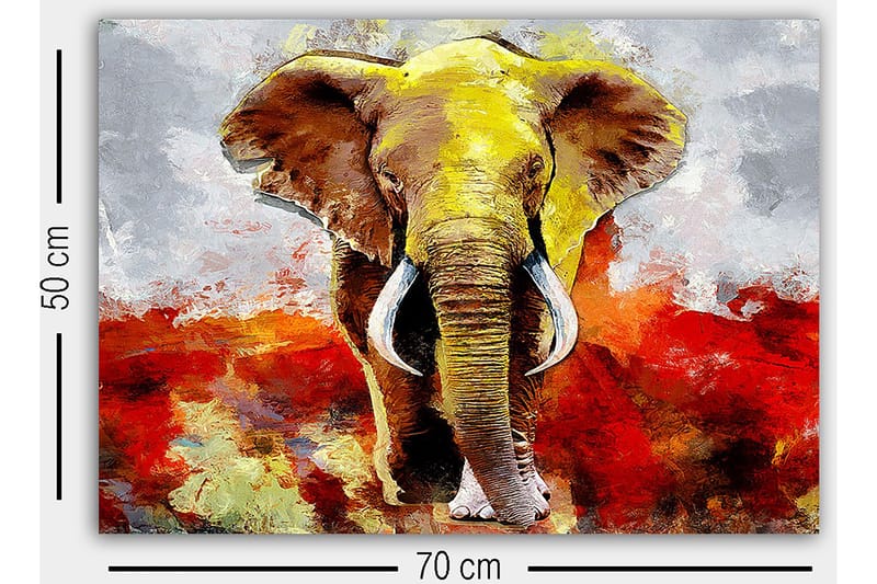 Dekorativ Canvastavla 50x70 cm - Flerfärgad - Inredning - Tavlor & konst - Canvastavlor