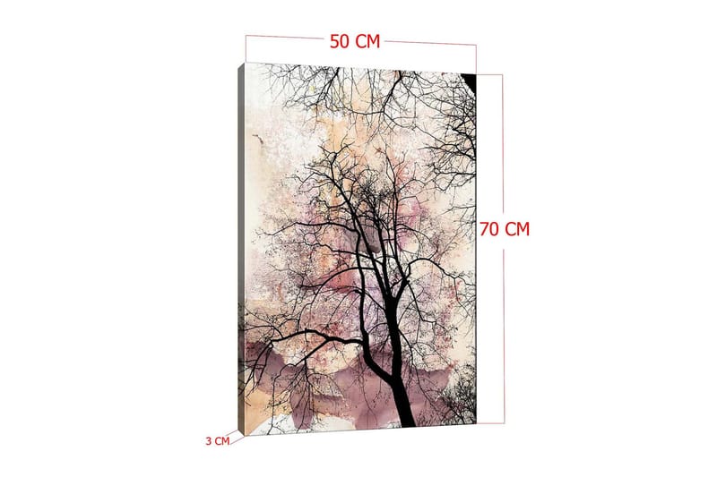 Dekorativ Canvastavla 50x70 cm - Flerfärgad - Inredning - Tavlor & konst - Canvastavlor