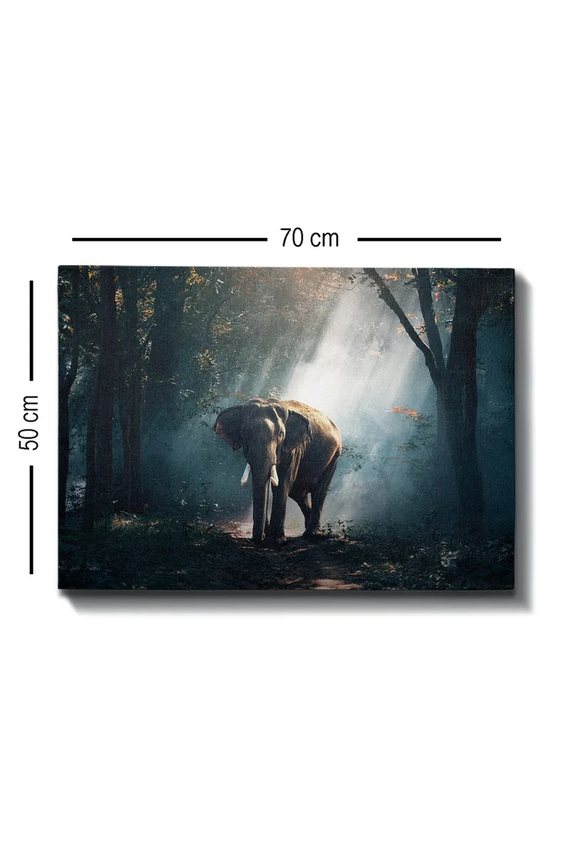 Dekorativ Canvastavla 50x70 cm - Flerfärgad - Inredning - Tavlor & konst - Canvastavlor