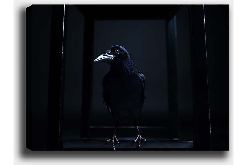 Dekorativ Canvastavla 50x70 cm - Flerfärgad - Inredning - Tavlor & konst - Canvastavlor