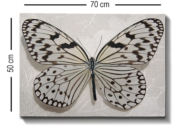 Dekorativ Canvastavla 50x70 cm - Flerfärgad - Inredning - Tavlor & konst - Canvastavlor