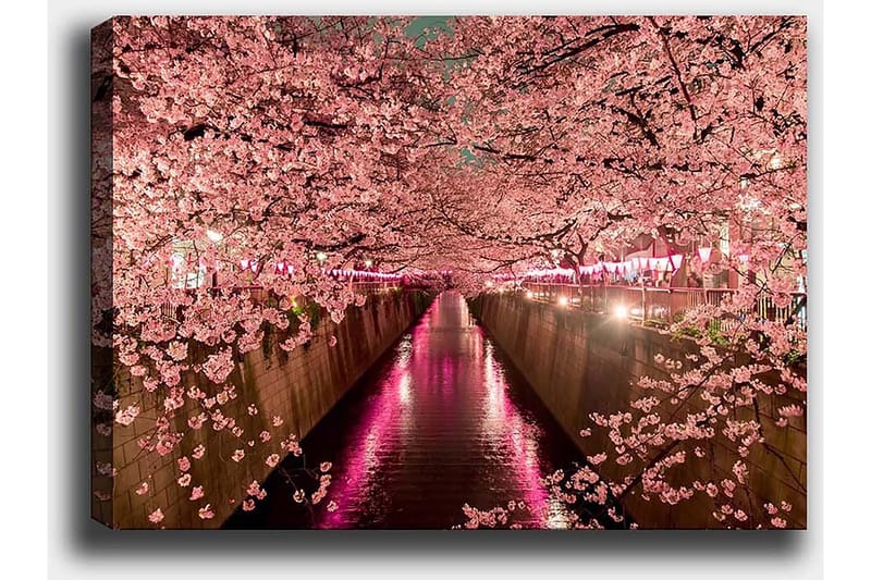 Dekorativ Canvastavla 50x70 cm - Flerfärgad - Inredning - Tavlor & konst - Canvastavlor