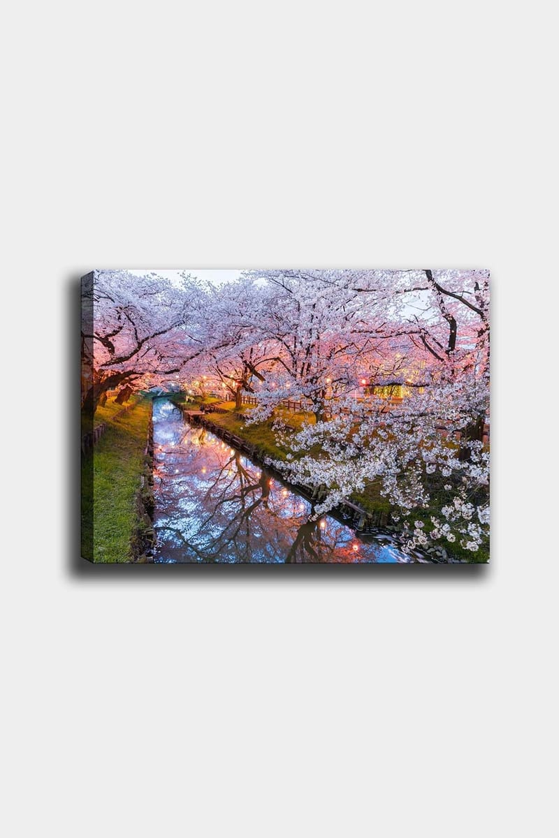 Dekorativ Canvastavla 50x70 cm, Flerfärgad