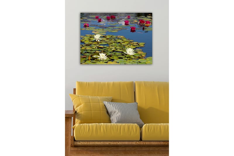 Dekorativ Canvastavla 50x70 cm, Flerfärgad