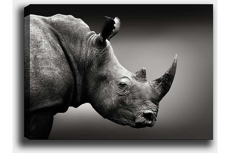 Dekorativ Canvastavla 50x70 cm - Flerfärgad - Inredning - Tavlor & konst - Canvastavlor