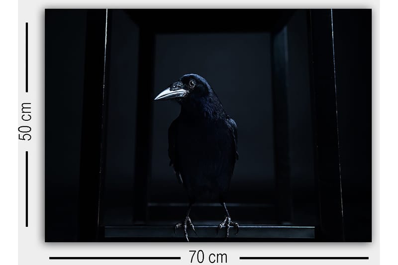 Dekorativ Canvastavla 50x70 cm - Flerfärgad - Inredning - Tavlor & konst - Canvastavlor