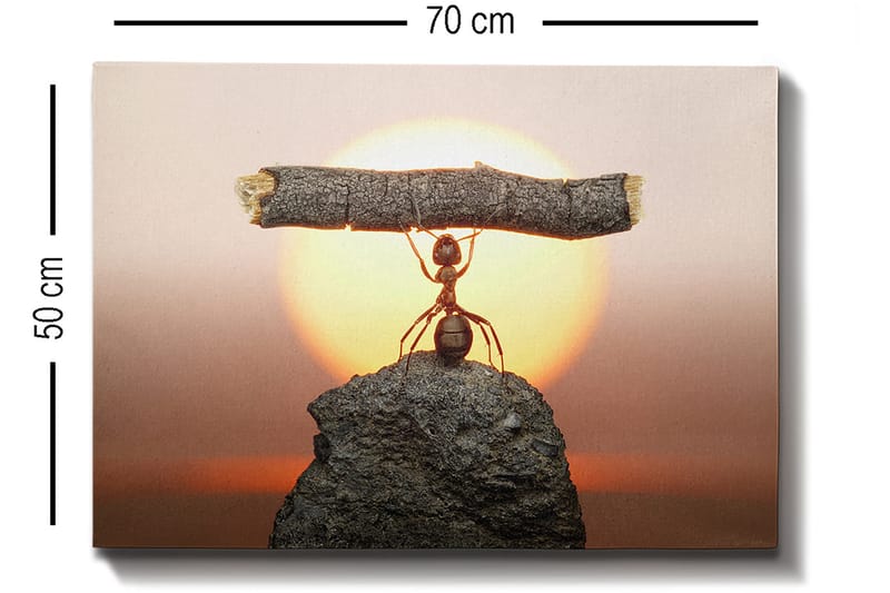 Dekorativ Canvastavla 50x70 cm - Flerfärgad - Inredning - Tavlor & konst - Canvastavlor