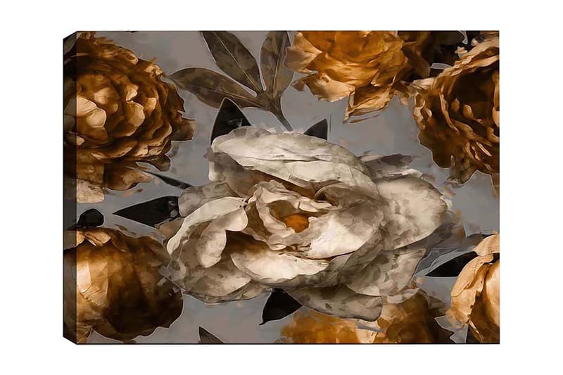 Dekorativ Canvastavla 50x70 cm, Flerfärgad