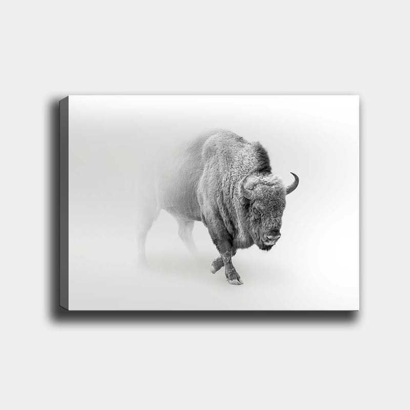 Dekorativ Canvastavla 70x100 cm - Flerfärgad - Inredning - Tavlor & konst - Canvastavlor