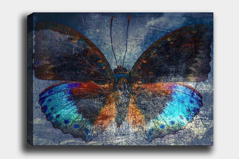 Dekorativ Canvastavla 70x100 cm - Flerfärgad - Inredning - Tavlor & konst - Canvastavlor