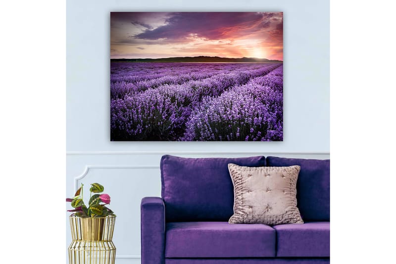 Dekorativ Canvastavla 70x100 cm - Flerfärgad - Inredning - Tavlor & konst - Canvastavlor