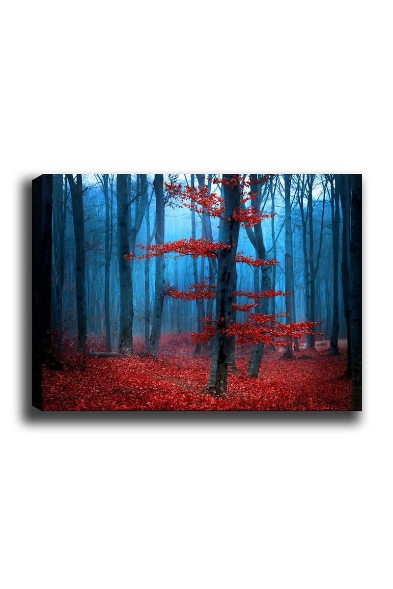 Dekorativ Canvastavla 70x100 cm - Flerfärgad - Inredning - Tavlor & konst - Canvastavlor