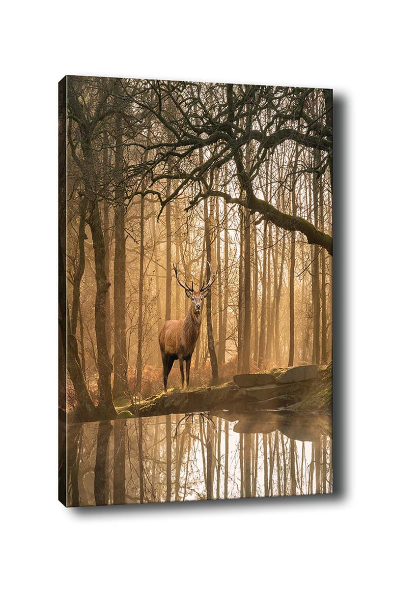 Dekorativ Canvastavla 70x100 cm - Flerfärgad - Inredning - Tavlor & konst - Canvastavlor