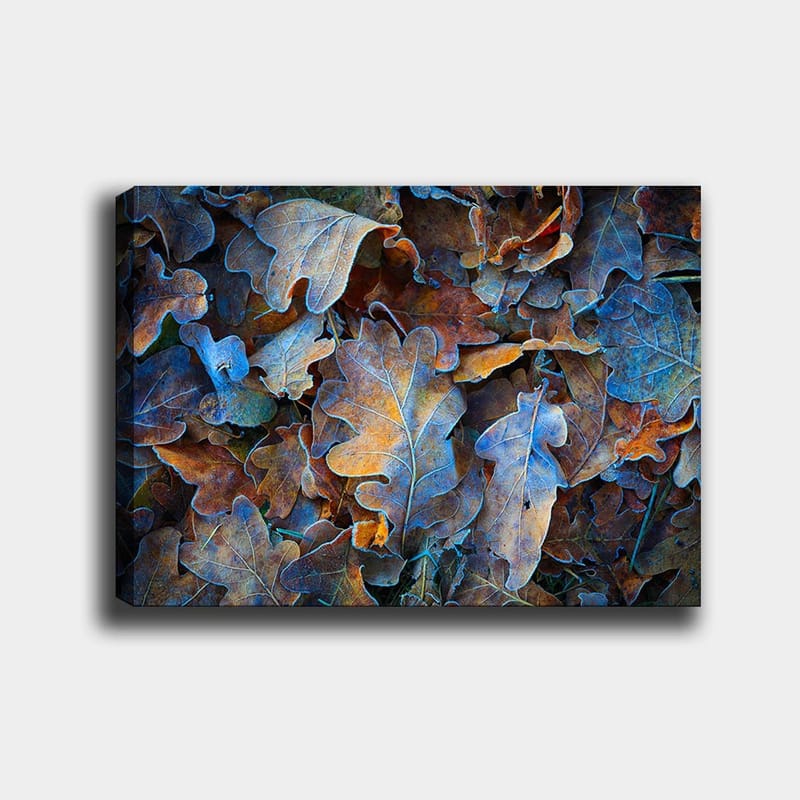 Dekorativ Canvastavla 70x100 cm - Flerfärgad - Inredning - Tavlor & konst - Canvastavlor