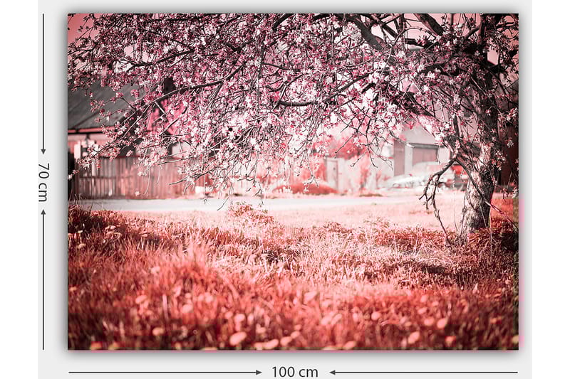 Dekorativ Canvastavla 70x100 cm - Flerfärgad - Inredning - Tavlor & konst - Canvastavlor