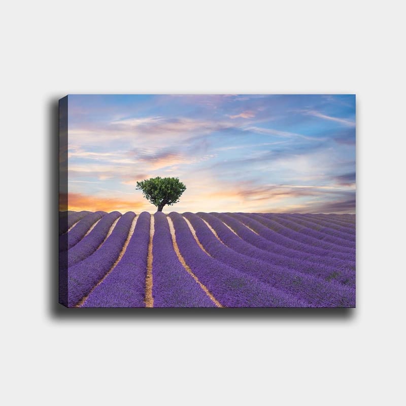 Dekorativ Canvastavla 70x100 cm - Flerfärgad - Inredning - Tavlor & konst - Canvastavlor