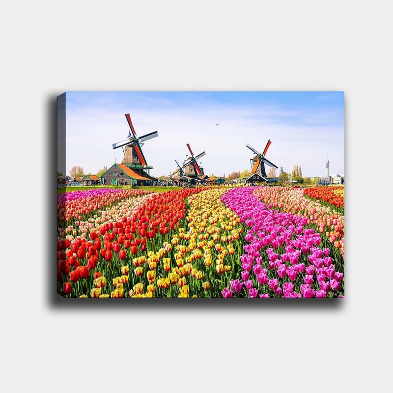 Dekorativ Canvastavla 70x100 cm - Flerfärgad - Inredning - Tavlor & konst - Canvastavlor