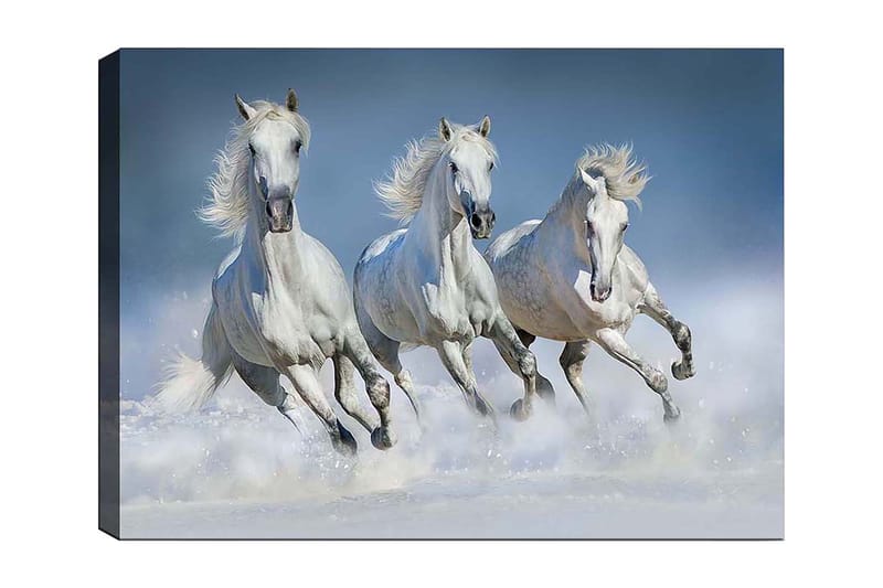 Dekorativ Canvastavla 70x100 cm - Flerfärgad - Inredning - Tavlor & konst - Canvastavlor