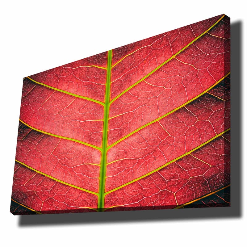 Dekorativ Canvastavla 70x100 cm - Flerfärgad - Inredning - Tavlor & konst - Canvastavlor