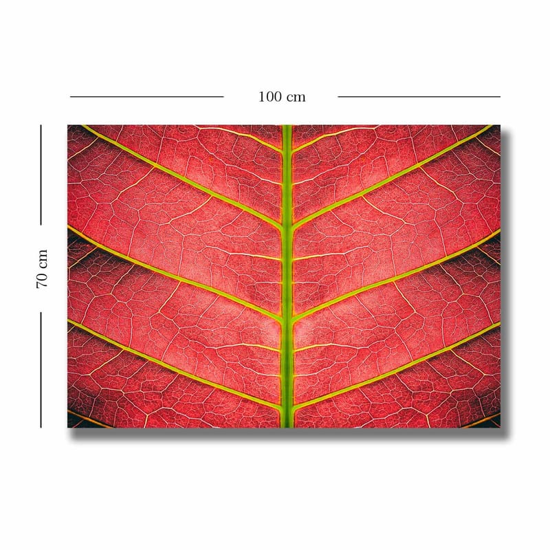 Dekorativ Canvastavla 70x100 cm - Flerfärgad - Inredning - Tavlor & konst - Canvastavlor