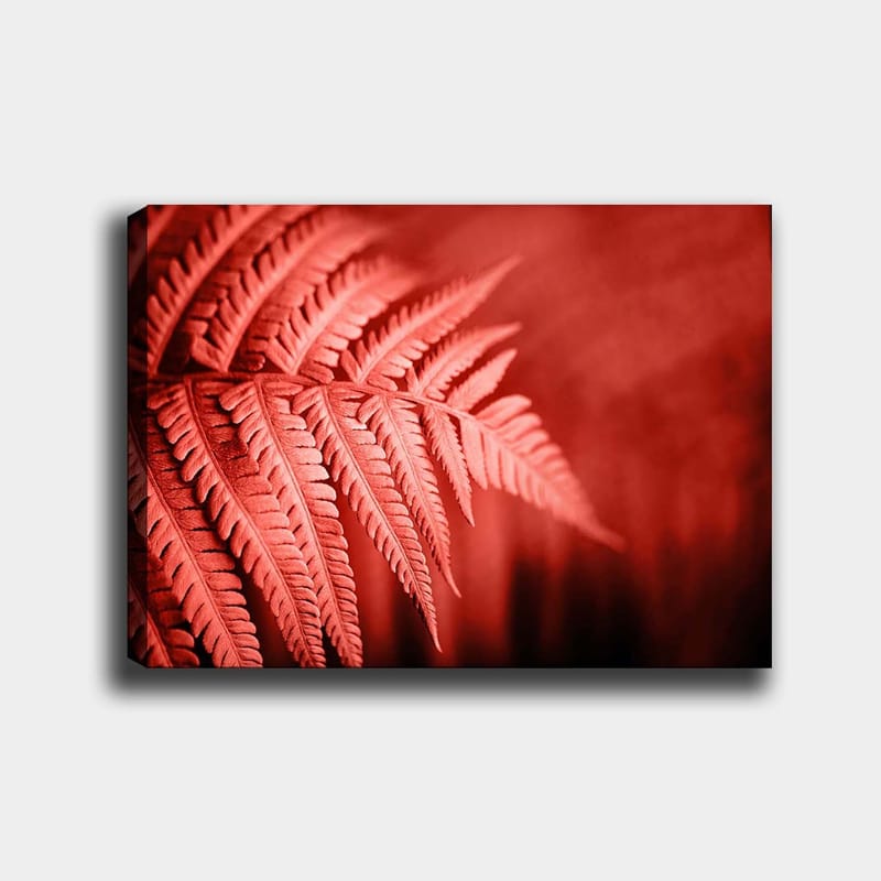 Dekorativ Canvastavla 70x100 cm - Flerfärgad - Inredning - Tavlor & konst - Canvastavlor