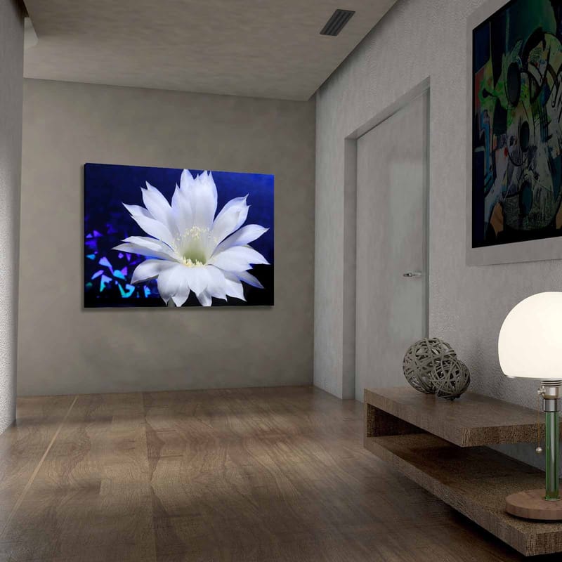 Dekorativ Canvastavla 70x100 cm - Flerfärgad - Inredning - Tavlor & konst - Canvastavlor