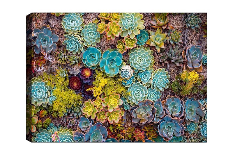 Dekorativ Canvastavla 70x100 cm - Flerfärgad - Inredning - Tavlor & konst - Canvastavlor