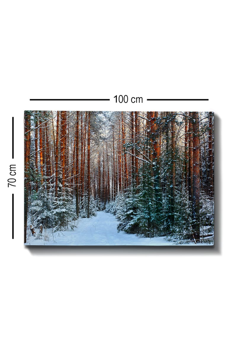 Dekorativ Canvastavla 70x100 cm - Flerfärgad - Inredning - Tavlor & konst - Canvastavlor