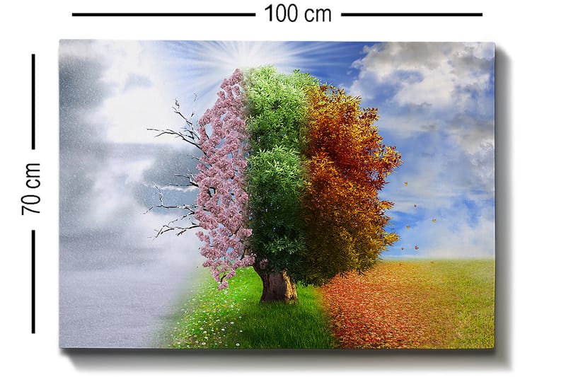 Dekorativ Canvastavla 70x100 cm - Flerfärgad - Inredning - Tavlor & konst - Canvastavlor