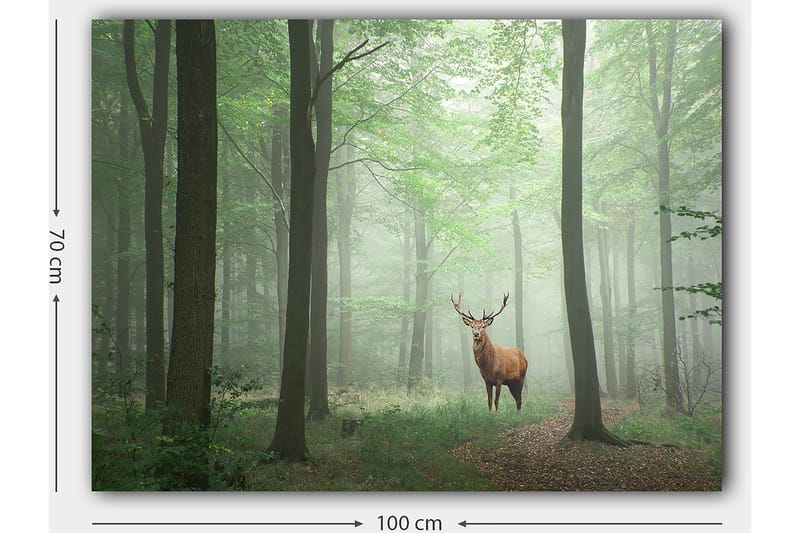 Dekorativ Canvastavla 70x100 cm - Flerfärgad - Inredning - Tavlor & konst - Canvastavlor