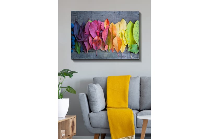 Dekorativ Canvastavla 70x100 cm - Flerfärgad - Inredning - Tavlor & konst - Canvastavlor