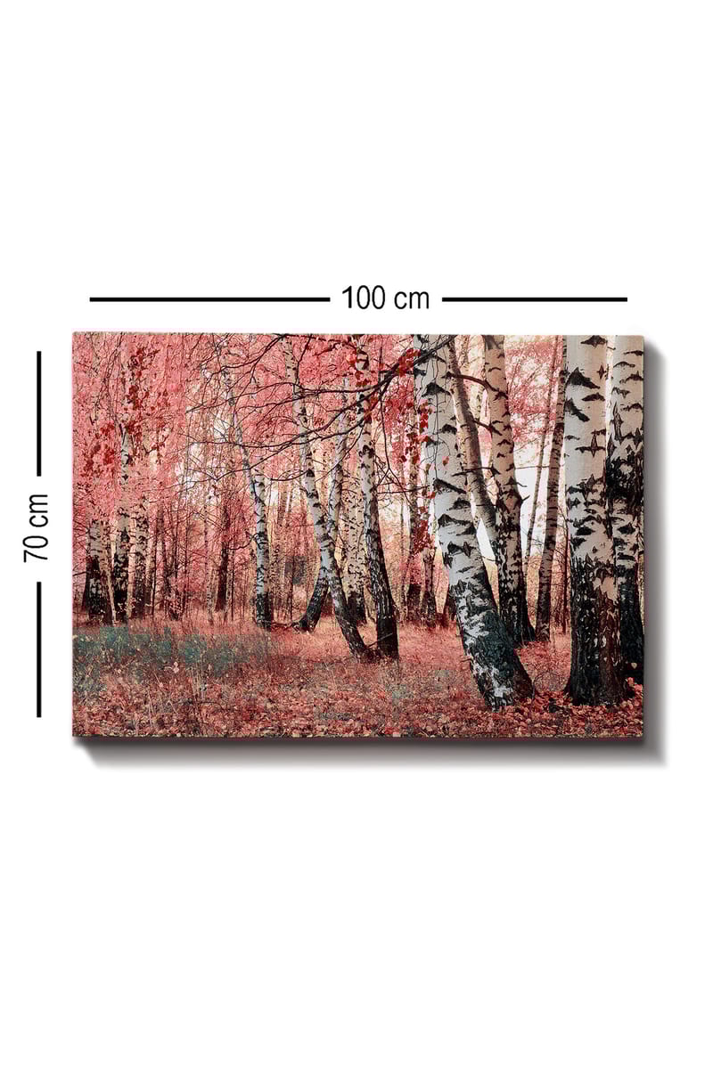 Dekorativ Canvastavla 70x100 cm - Flerfärgad - Inredning - Tavlor & konst - Canvastavlor
