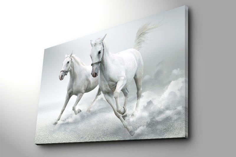 Dekorativ Canvastavla 70x100 cm - Flerfärgad - Inredning - Tavlor & konst - Canvastavlor