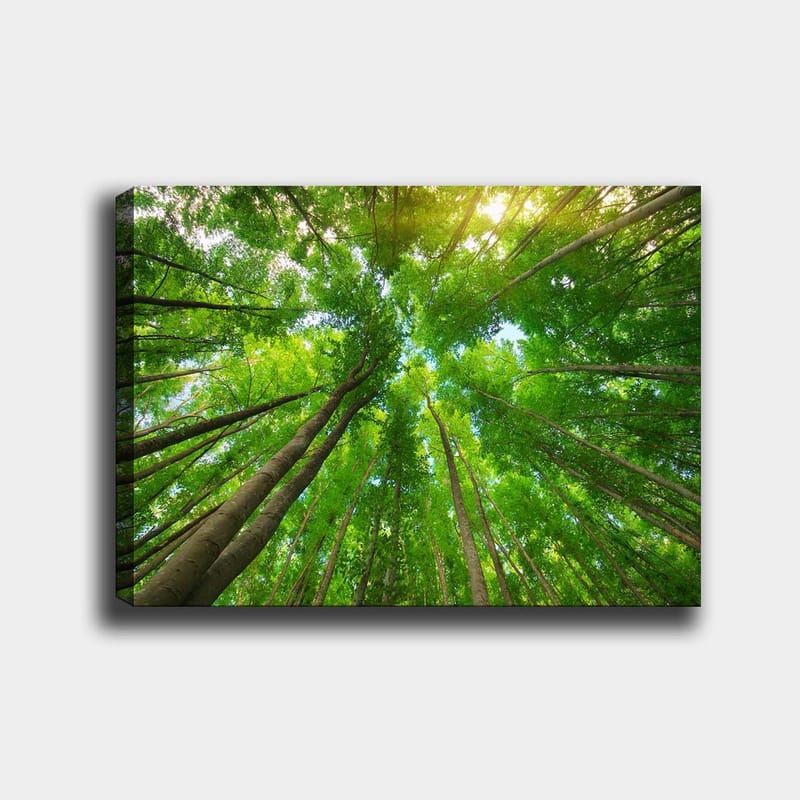 Dekorativ Canvastavla 70x100 cm - Flerfärgad - Inredning - Tavlor & konst - Canvastavlor