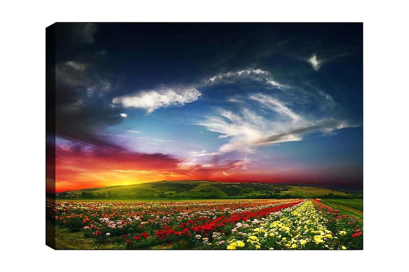 Dekorativ Canvastavla 70x100 cm - Flerfärgad - Inredning - Tavlor & konst - Canvastavlor