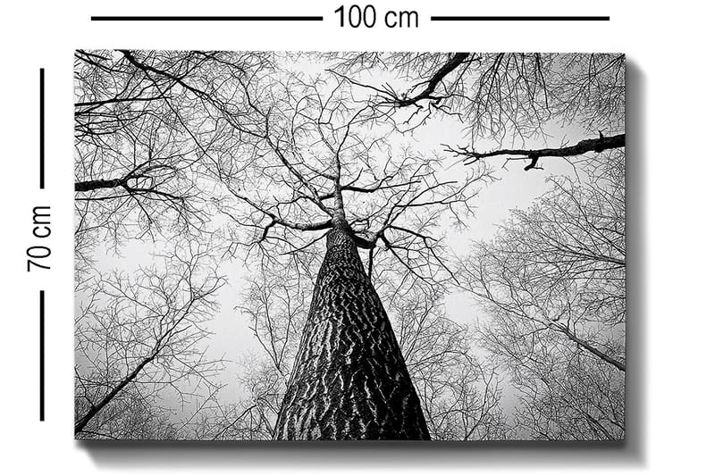 Dekorativ Canvastavla 70x100 cm - Flerfärgad - Inredning - Tavlor & konst - Canvastavlor