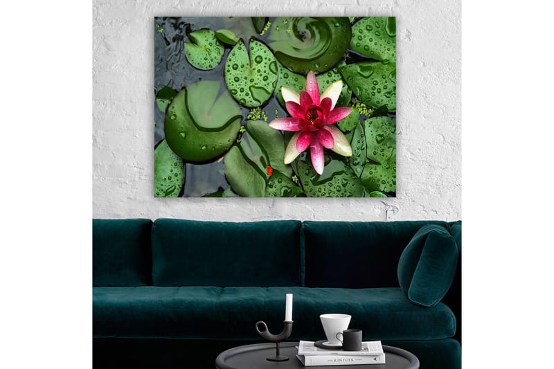 Dekorativ Canvastavla 70x100 cm - Flerfärgad - Inredning - Tavlor & konst - Canvastavlor