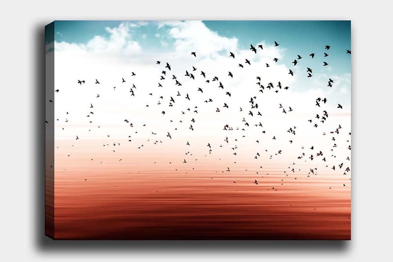 Dekorativ Canvastavla 70x100 cm - Flerfärgad - Inredning - Tavlor & konst - Canvastavlor