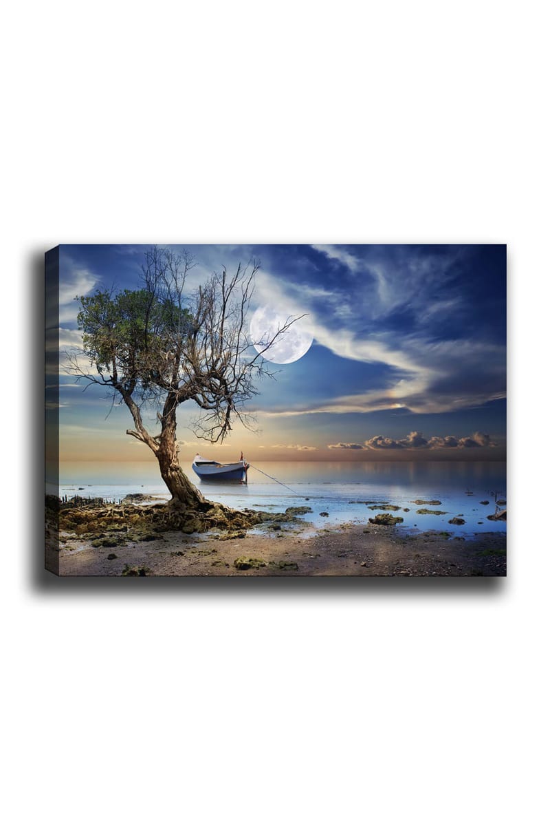 Dekorativ Canvastavla 70x100 cm, Flerfärgad