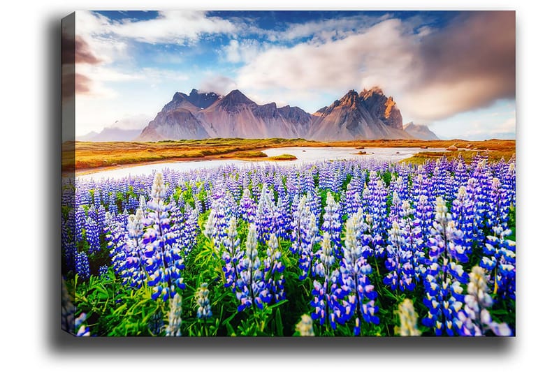 Dekorativ Canvastavla 70x100 cm - Flerfärgad - Inredning - Tavlor & konst - Canvastavlor