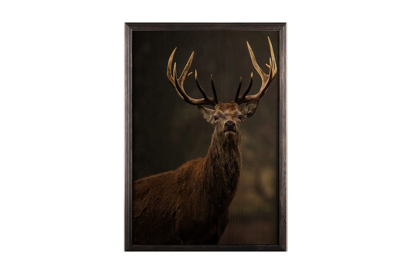 Dekorativ inramad målning  50x70 cm - Flerfärgad - Inredning - Tavlor & konst - Canvastavlor