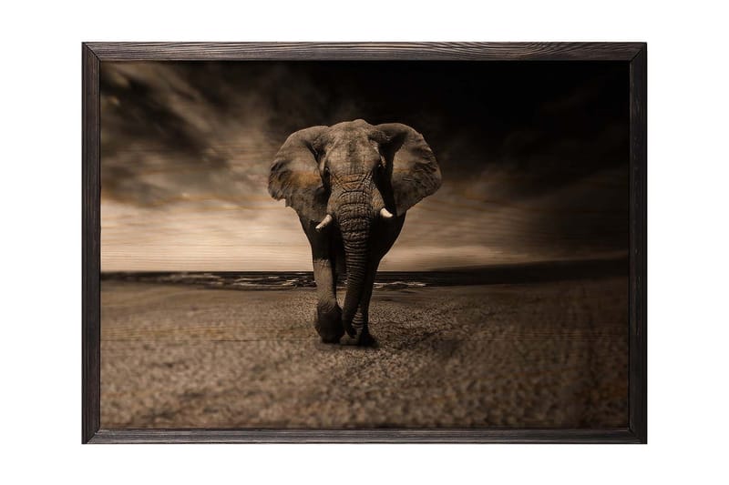 Dekorativ inramad målning  50x70 cm - Flerfärgad - Inredning - Tavlor & konst - Canvastavlor