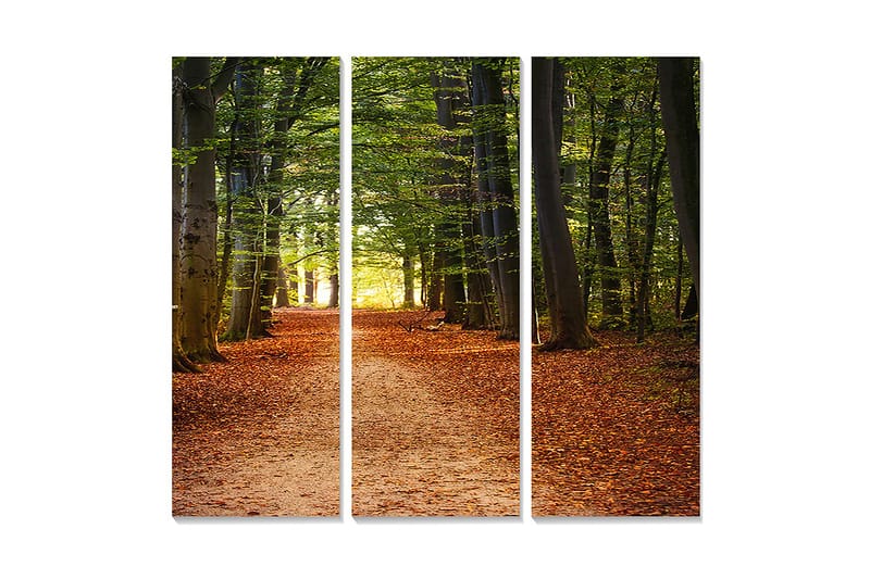 Dekorativ MDF-målning 3-Delar 20x50 cm - Flerfärgad - Inredning - Tavlor & konst - Canvastavlor
