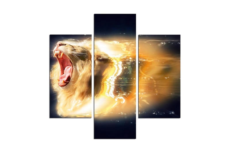 Dekorativ MDF-målning 3 Delar, Flerfärgad